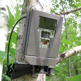 TS500
