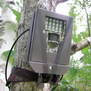 TS550